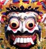 DMC Bali Plus
